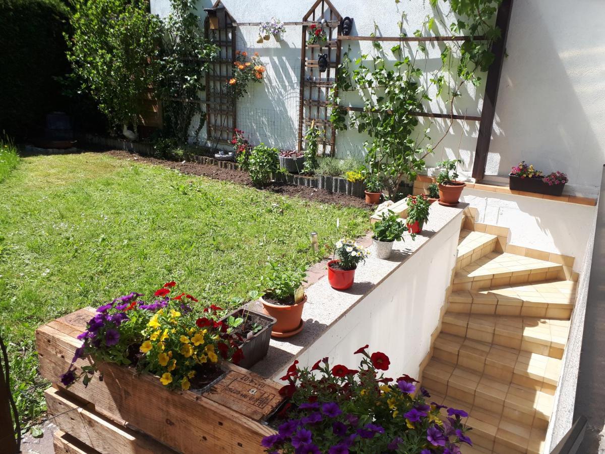 Hostel Bad Salzig Boppard Εξωτερικό φωτογραφία
